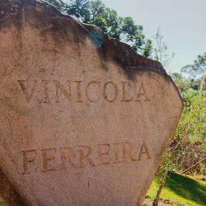 Vinhos de altitude: o sabor da Serra da Mantiqueira elaborado pela vinícola Ferreira